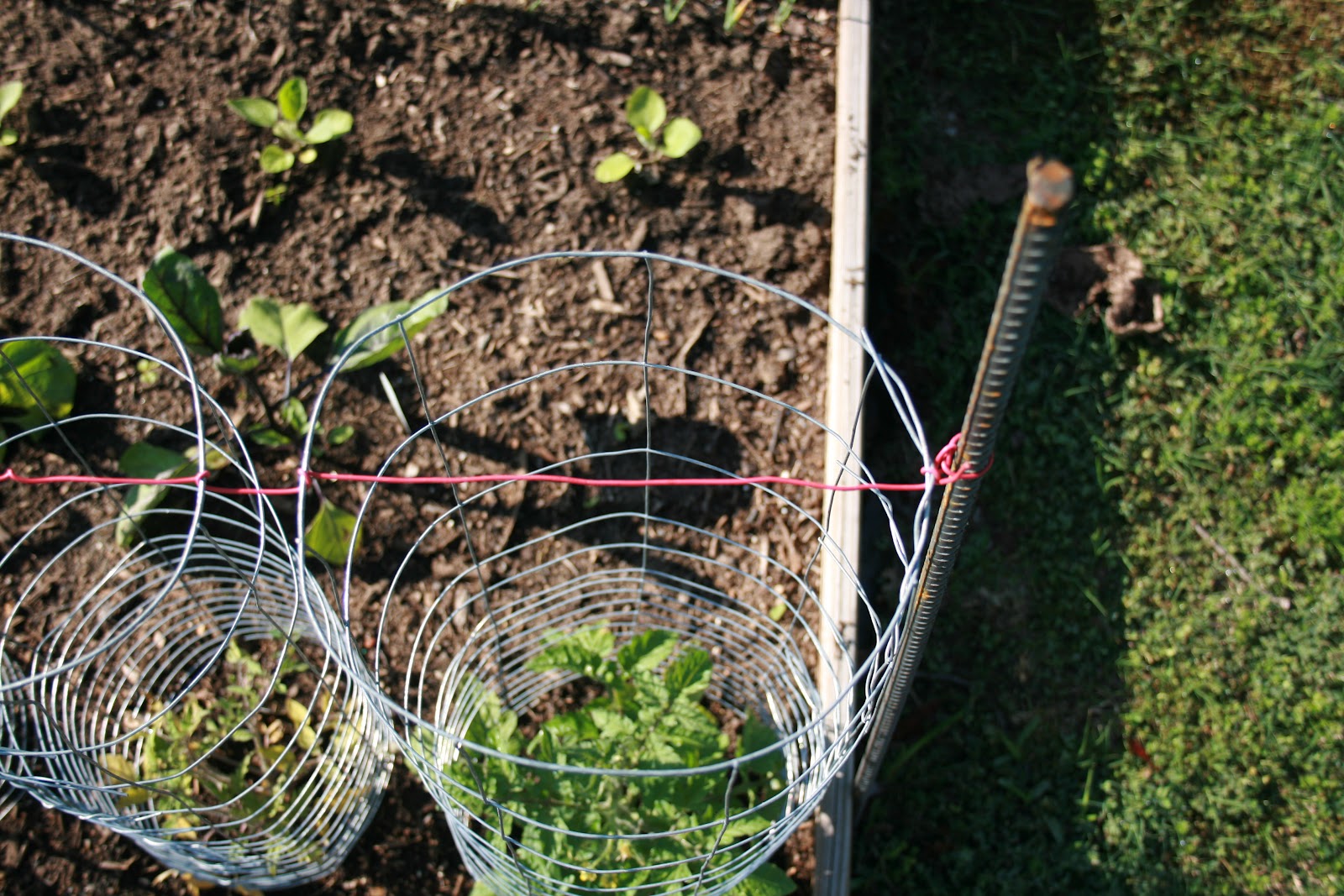 GardeningSquared: Caged Innovation
